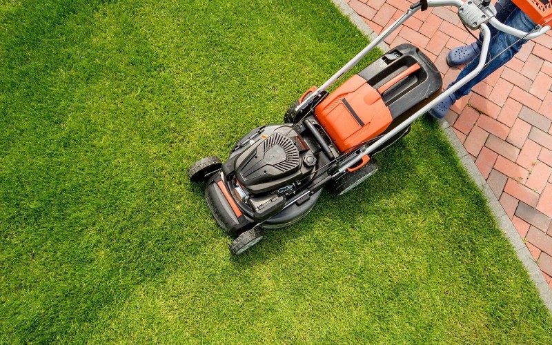 Professional Lawn Care and Maintenance